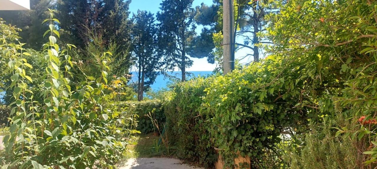 Apartmani Sunce Bar Δωμάτιο φωτογραφία